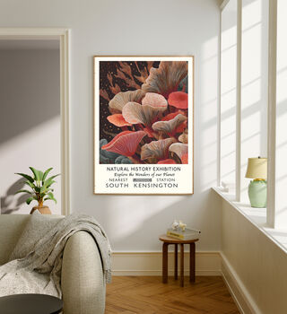 Natural History Museum Mushroom Art Print, 2 of 4