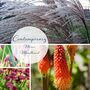 Build Your Own Contemporary Garden Border, thumbnail 4 of 8