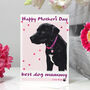 Personalised 'Rosie' Dog Mother's Day Card, thumbnail 4 of 7