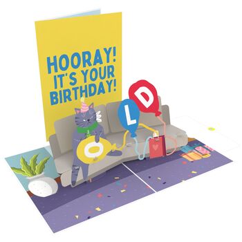 Hooray You're Old Funny Pop Up Birthday Cat Card, 6 of 7