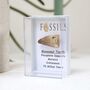 Mosasaur Tooth Fossil, thumbnail 7 of 10