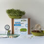 Children's Organic Grow Your Own Microgreens, thumbnail 1 of 10