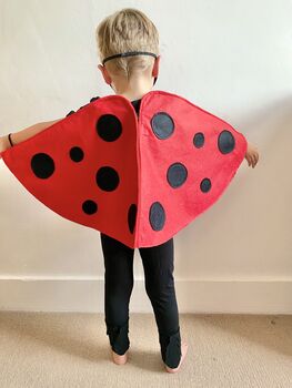 Felt Ladybird Costume For Kids And Adults, 9 of 12