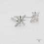 Star Stud Earrings With Sparkly Gemstones, thumbnail 2 of 9