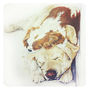 Personalised Painted Pet Portrait, thumbnail 8 of 11