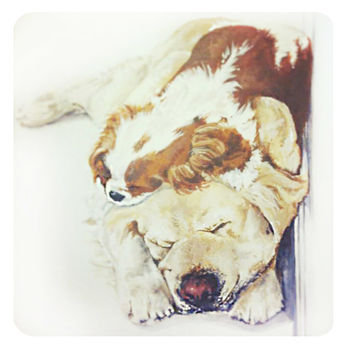 Personalised Painted Pet Portrait, 8 of 11