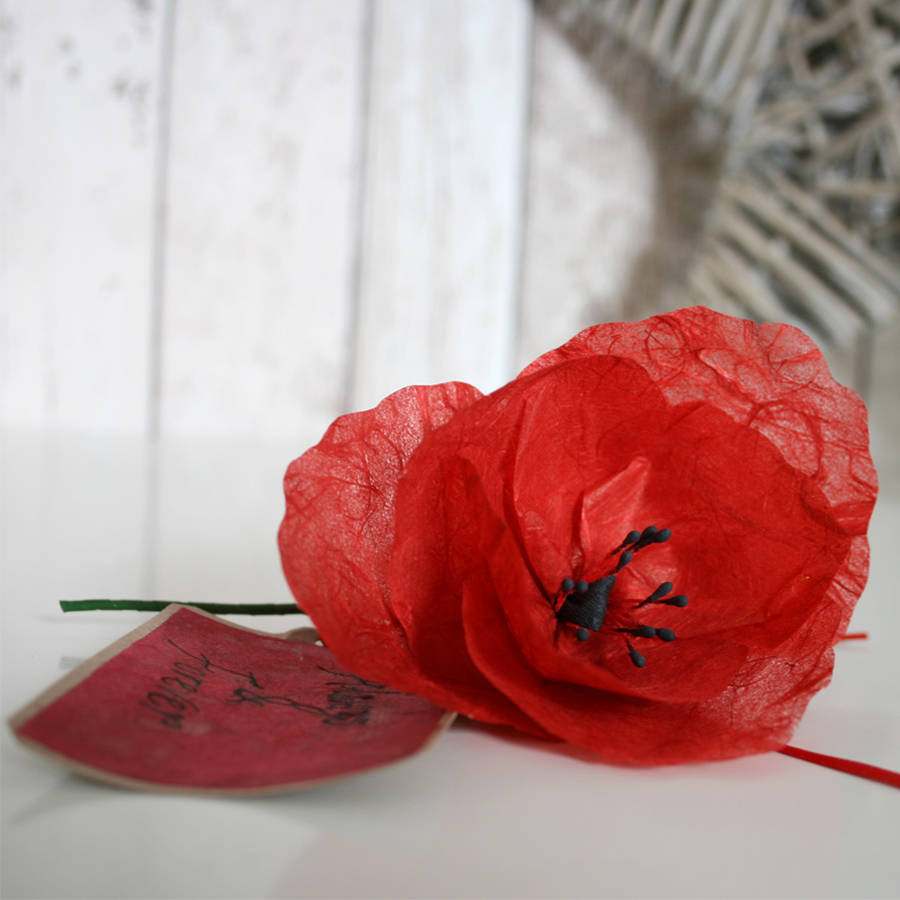 remembrance paper poppy by paper posies | notonthehighstreet.com