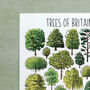 Trees Of Britain Watercolour Postcard, thumbnail 2 of 4