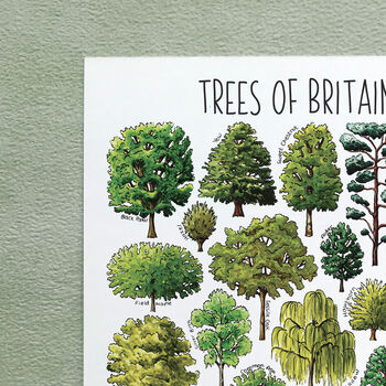 Trees Of Britain Watercolour Postcard, 2 of 4