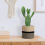 Pack Of Two Jute Rope Plant Basket Indoor Planters, thumbnail 8 of 8