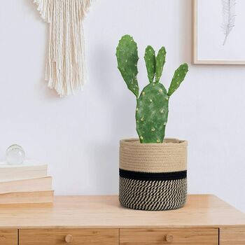 Pack Of Two Jute Rope Plant Basket Indoor Planters, 8 of 8