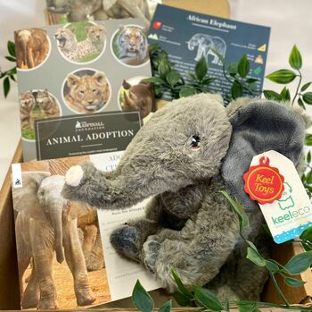Elephant Adoption Certificate And Soft Toy Gift Box, 2 of 4