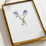 Personalised In Memory Forget Me Not Pressed Flower Frame, thumbnail 2 of 4