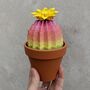 Multi Coloured Origami Cactus With Paper Flower, thumbnail 1 of 10