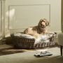 Hove Striped Pet Cushion With Signature Ticking Stripe, thumbnail 5 of 8