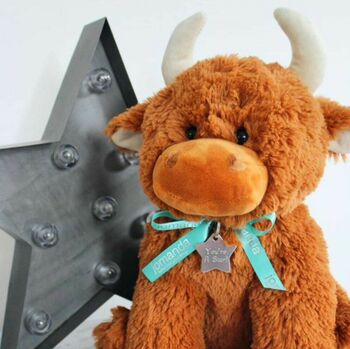 Happy Birthday Star Tag Large Highland Cow, 8 of 10