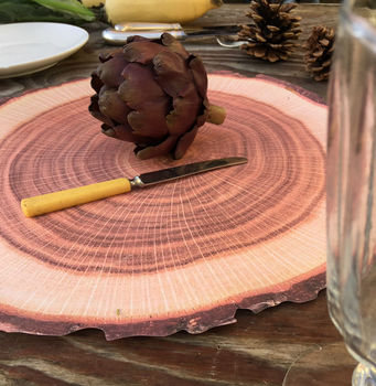 Pack Of 10 Paper Log Placemats And 10 Log Coasters, 5 of 6