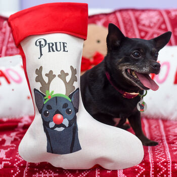 Personalised Reindeer Dog Xmas Stocking, 9 of 11