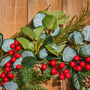 Giant Wild Holly Christmas Wreath, thumbnail 2 of 3