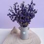 Blue Dried Delphiniums With Vase Gift, thumbnail 4 of 4