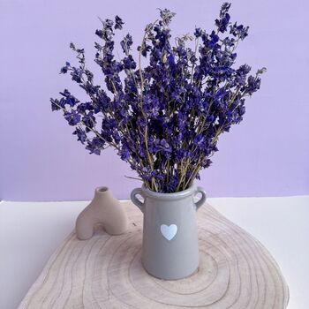 Blue Dried Delphiniums With Vase Gift, 4 of 4