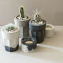 Concrete Planter Cactus Kit, thumbnail 8 of 12