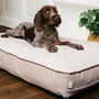Sustainable Luxury Dog Bed Mattress Stubby, thumbnail 1 of 6