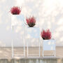 White Square Metal Planter With Stand, thumbnail 3 of 6