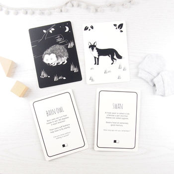 Black And White Baby Flash Cards British Animals, 3 of 4