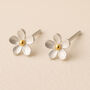 Sterling Silver Forget Me Not Flower Stud Earrings, thumbnail 1 of 9