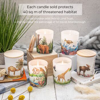 Save The Planet Candle: Warming Desert, 6 of 6