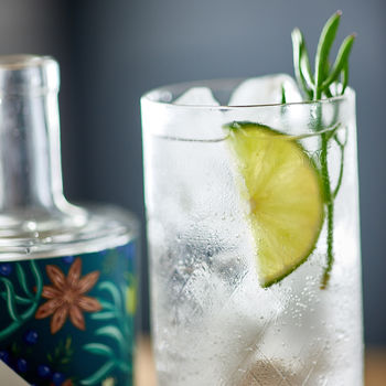 Wild Coast Gin Of Cornwall, 2 of 3