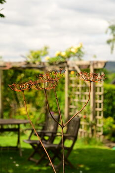 Rusty Metal Cow Parsley, 8 of 8