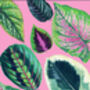 Houseplant Mixed Leaves Pink Art Print, thumbnail 2 of 4
