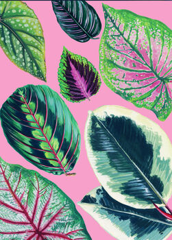 Houseplant Mixed Leaves Pink Art Print, 2 of 4