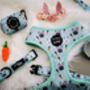 Mint Choc Chip Easter Bunny Dog Harness, thumbnail 5 of 7