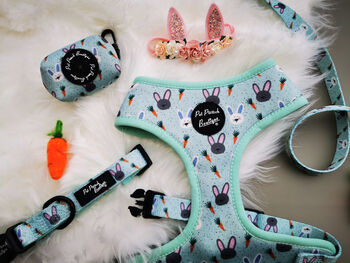 Mint Choc Chip Easter Bunny Dog Harness, 5 of 7