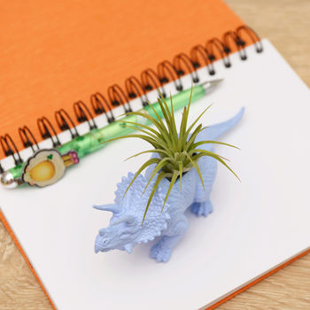 Hand Painted Triceratops Dinosaur Planter With Plant, 8 of 8