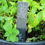 Engraved Personalised Slate Herb Plant Markers, thumbnail 2 of 4
