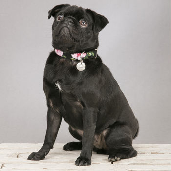 The Chelsea Pink And Black Floral Dog Collar, 4 of 4