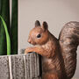 Brown Squirrel Pot Hanger, thumbnail 2 of 2