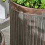 Set Of Three Copper And Iron Planters, thumbnail 6 of 6