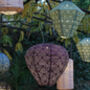 Solar Garden Lanterns, thumbnail 1 of 12