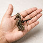 Brass Seahorse Drawer Pull Knob, thumbnail 2 of 8