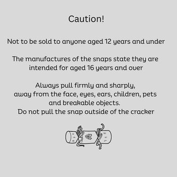 Box Of Six Handmade Eco Friendly Christmas Crackers, 9 of 10