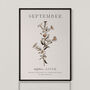 Birth Flower Wall Print 'Aster' For September, thumbnail 10 of 12