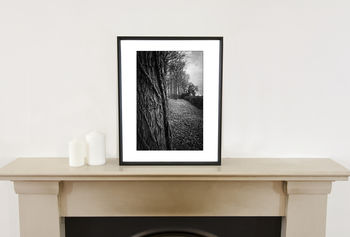 Tree Bark Landscape Photographic Art Print, 2 of 4