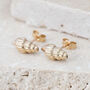 9ct Gold Shell Stud Earrings, thumbnail 1 of 7