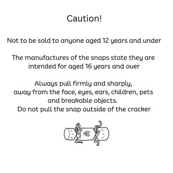 Box Of Six Handmade Eco Friendly Christmas Crackers, 7 of 9