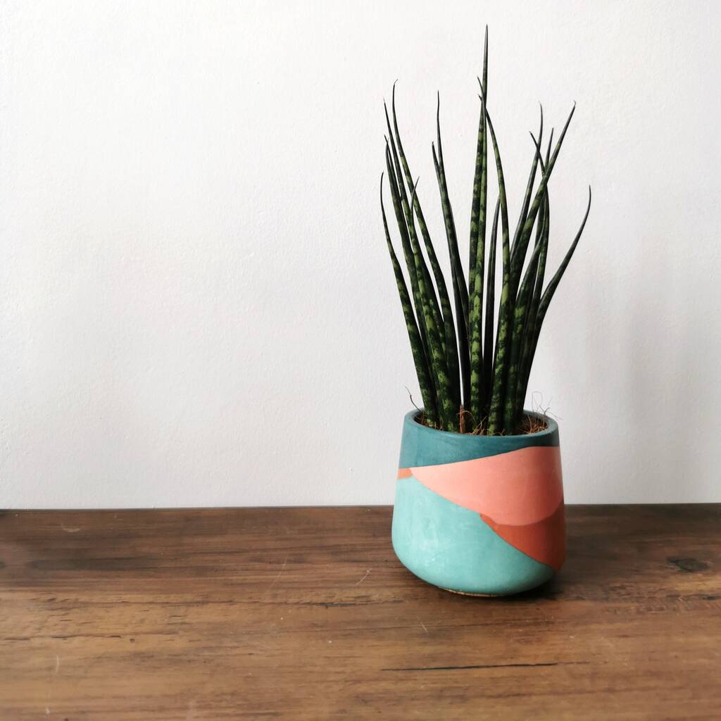 Colourful Handmade Plant Pot By Slow Make Studio